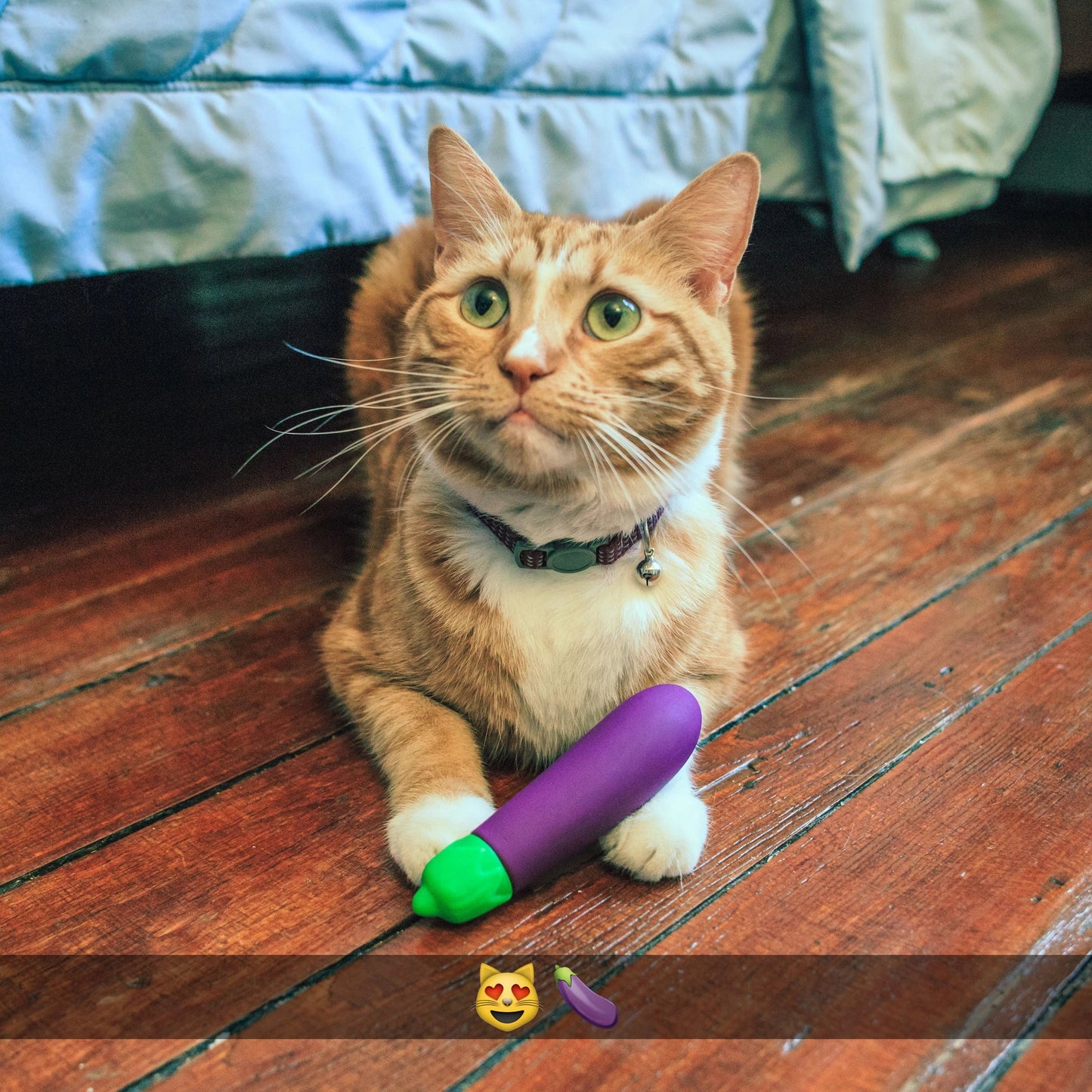 Eggplant Vibrator - Emojibator - BraTopia