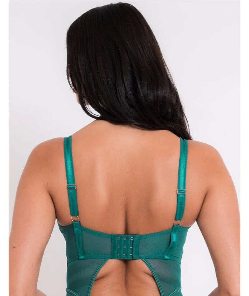 Senses Plunge Body In Verdigris - Curvy Kate - BraTopia