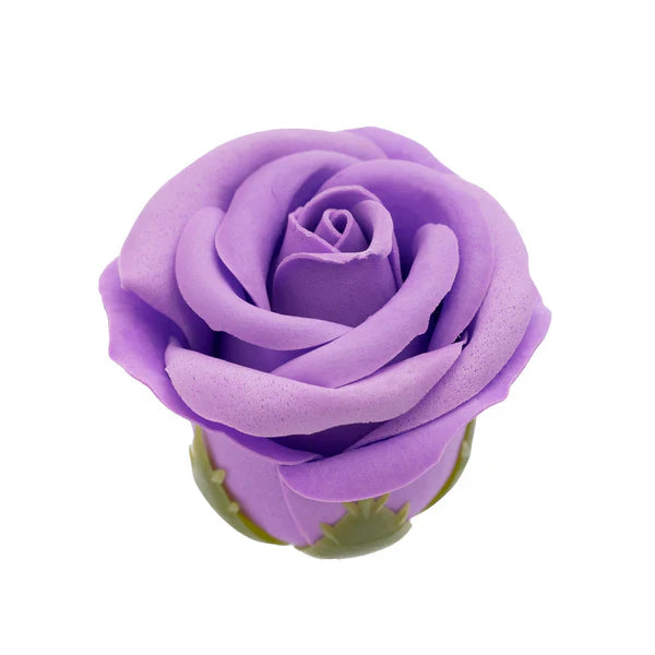 Midnight Magic Gift Box - Je Joue