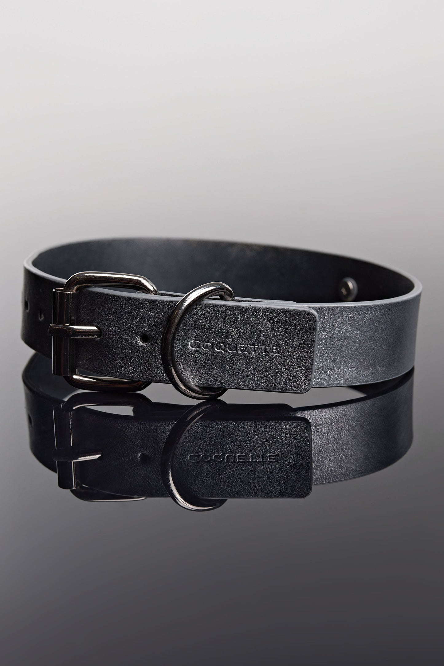 Collar & Leash Set In Grey - Coquette