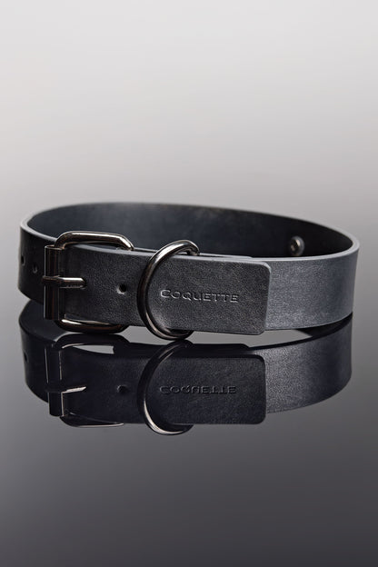 Collar & Leash Set In Grey - Coquette