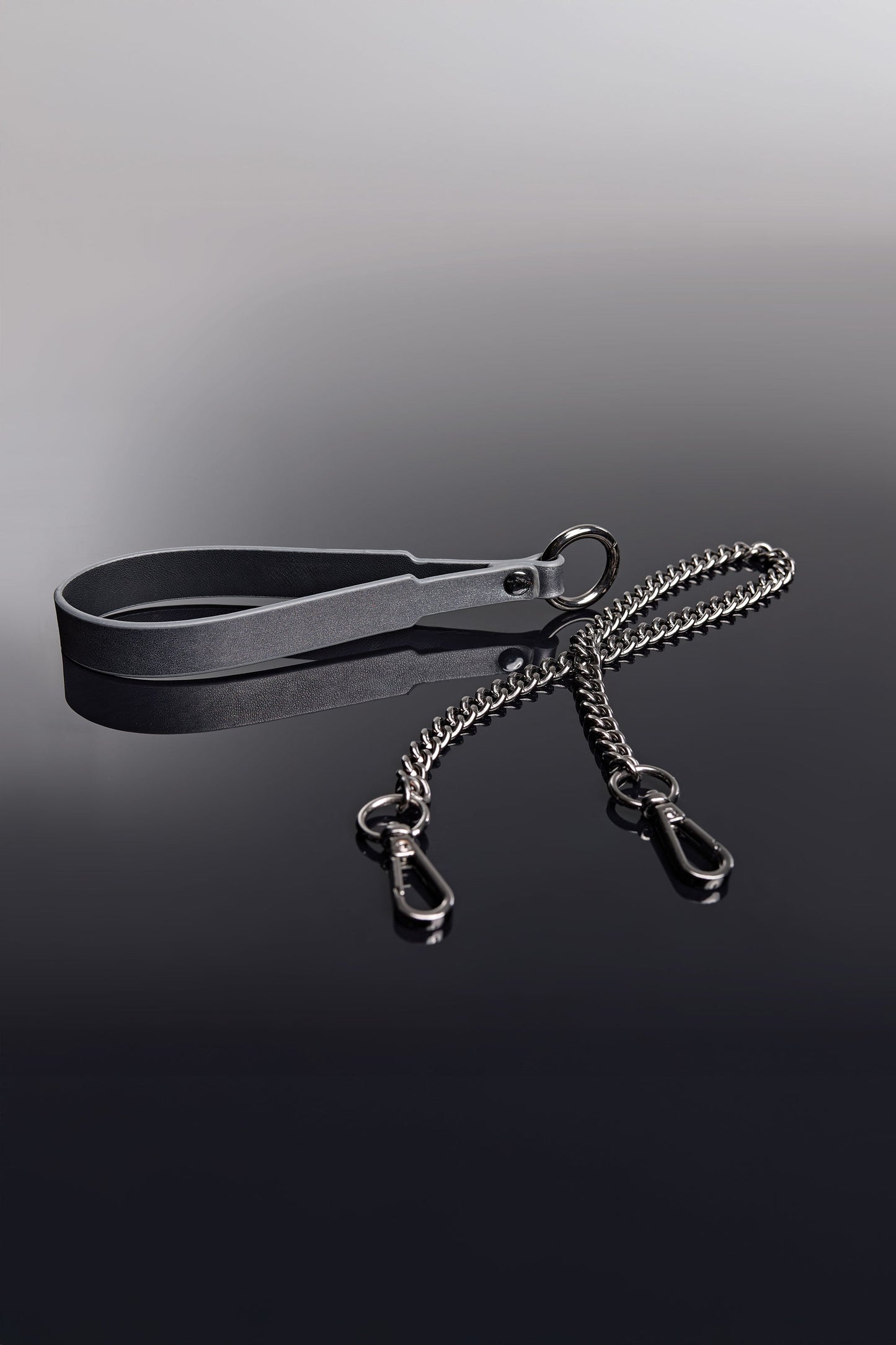 Collar & Leash Set In Grey - Coquette